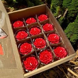 Hộp 12 Ly Nến Hoa Đào T01, Nến Bơ Dâng Phật Cúng Mụ Cúng Dường An Toàn Không Khói 3