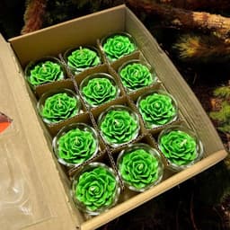 Hộp 12 Ly Nến Hoa Đào T01, Nến Bơ Dâng Phật Cúng Mụ Cúng Dường An Toàn Không Khói 5