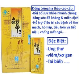 Đông trùng hạ thảo vàng trùng thảo vương lý khoa league king of cordyceps hộp 4 chai 30ml 2
