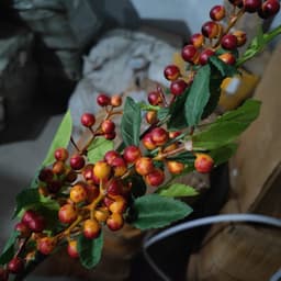 CÀNH LÁ TÁO , ĐUÔI CÔNG, TIM, RẺ QUẠT PHỦ MÀU VÀNG ĐỒNG TRANG TRÍ NHÀ CỬA 6