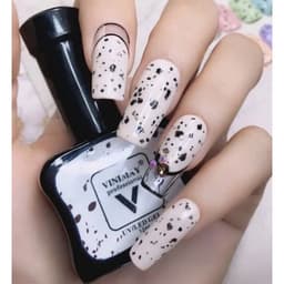 Top trứng cút Vinimay dùng trên mọi nền sơn Top cút tạo trend 3