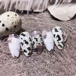 Top trứng cút Vinimay dùng trên mọi nền sơn Top cút tạo trend 4