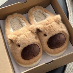 Giày sục lông Capybara dễ thương phong cách Hàn Quốc  nữ đẹp hottrend  Dionstore  3