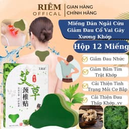 Miếng Dán Ngải Cứu Hộp 12 Miếng Giảm Đau Vai Gáy Hiệu Quả Nhất Thải Độc An Toàn Cho Sức RIEM 1