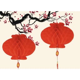 [TẾT 2026] SET 10C Lồng Đèn Đỏ Treo Trang Trí Tết, Chúc Mừng Năm Mới, Trang Trí Lễ Hội, Tiệc Tùng - Hana Party 4
