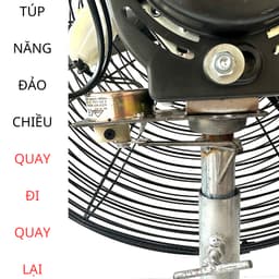 Quạt Sàn Công Nghiệp - Quạt Chân Quỳ . Đường kính lồng 55cm - Cánh 50 Lắp động cơ máy giặt CŨ 3