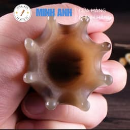 Bạch tuộc massage đầu, gội đầu dưỡng sinh bằng sừng tự nhiên 3