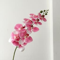 Hoa Lan Hồ Điệp Cao Cấp Nhân Tạo 9 bông cao 100cm trang trí phòng khách, văn phòng, Chậu Lan tặng khách 5