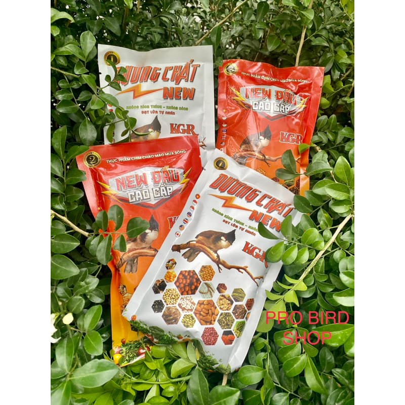 Cám Chim Chào Mào Cao Cấp New KGR