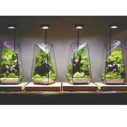 Đèn led đế gỗ 3,5,7,9w (Thuỷ sinh, bán cạn, terrarium) loại cả bộ đế gỗ - Ánh sáng trắng 6