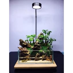 Đèn led đế gỗ 3,5,7,9w (Thuỷ sinh, bán cạn, terrarium) loại cả bộ đế gỗ - Ánh sáng trắng 8