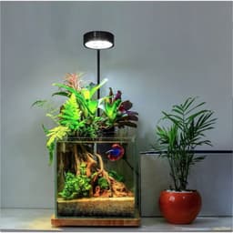 Đèn led đế gỗ 3,5,7,9w (Thuỷ sinh, bán cạn, terrarium) loại cả bộ đế gỗ - Ánh sáng trắng 9