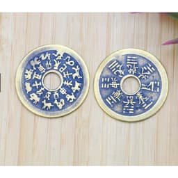 Đồng Xu Thái Tuế 12 Con Giáp - Đồng Xu Phong Thủy 6