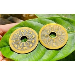 Đồng Xu Thái Tuế 12 Con Giáp - Đồng Xu Phong Thủy 4