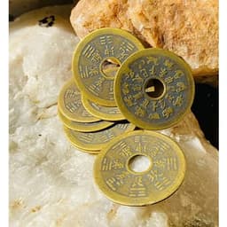 Đồng Xu Thái Tuế 12 Con Giáp - Đồng Xu Phong Thủy 2
