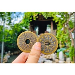 Đồng Xu Thái Tuế 12 Con Giáp - Đồng Xu Phong Thủy 8