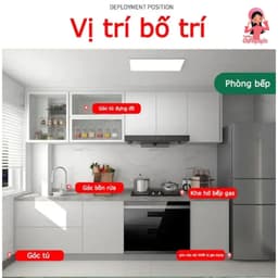 Thuốc diệt gián an toàn, hiệu quả nhanh chóng  5
