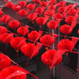 Combo 100 Đèn Lồng Đỏ Chữ Phúc DIDOOGLT Trang Trí Đám Cưới Lễ Hội Ngày Tết 3