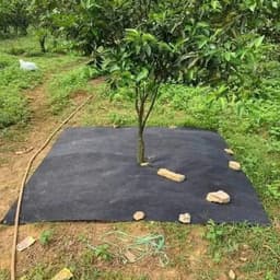 Combo 10 tấm bạt phủ cỏ kích thước từ 40cmx40cm đến 1m2 chống cỏ dại cho cây cảnh và cây trồng 5