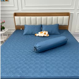 BỘ GA GỐI Chun Trần Bông Phi Lụa Bóng Các Loại Nhiều Màu Sắc  –  Kích Thước 1m2,1m4,1m5,1m6,1m8,2m2 4
