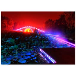 LED DÂY FULL MÀU WS2811 24V 5050 60LED/MÉT TRANG TRÍ BẢNG HIỆU QUẤN CÂY CẢNH CHỐNG NƯỚC ĐIỆN ÁP 220V 6