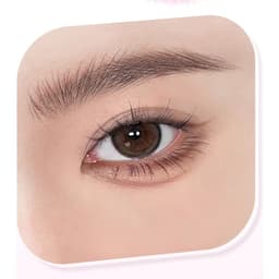 Mascara lông mày NEIYOU chống thấm nước lâu trôi không phai màu nhuộm màu nhẹ nhàng - Hity Beauty 7