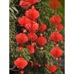 Bộ 50 Đèn Lồng NILON ( size 15#-40#) Đỏ Mini Treo Lễ Tết, Chống Nước, Đủ Kích Thước 15-35cm, Trang Trí Ngày Lễ Đặc Biệt 2