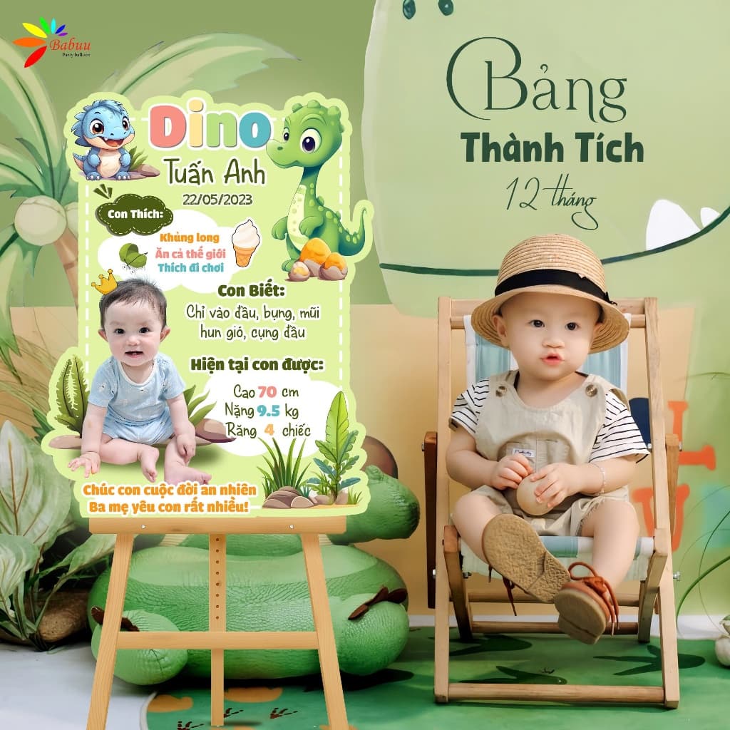 Bảng thành tích, thông tin, khung ảnh 12 tháng trang trí sinh nhật cho bé trai và bé gái