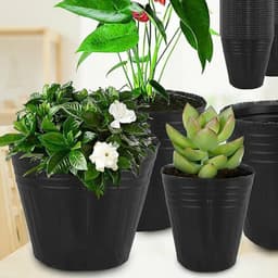 Bầu ươm cây trồng đủ kích thước 7