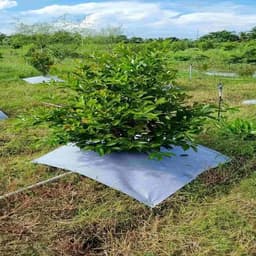 Combo 10 tấm bạt phủ cỏ kích thước từ 40cmx40cm đến 1m2 chống cỏ dại cho cây cảnh và cây trồng 9