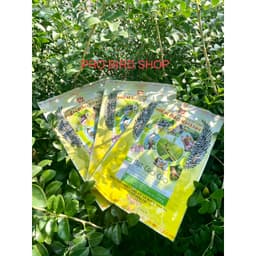 Hạt Cào Cào Tươi HIỂN BẢO KHÁNH gói 100g cao cấp Thay thế mồi tươi giúp chim căng lửa 1
