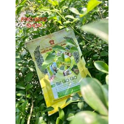 Hạt Cào Cào Tươi HIỂN BẢO KHÁNH gói 100g cao cấp Thay thế mồi tươi giúp chim căng lửa 4
