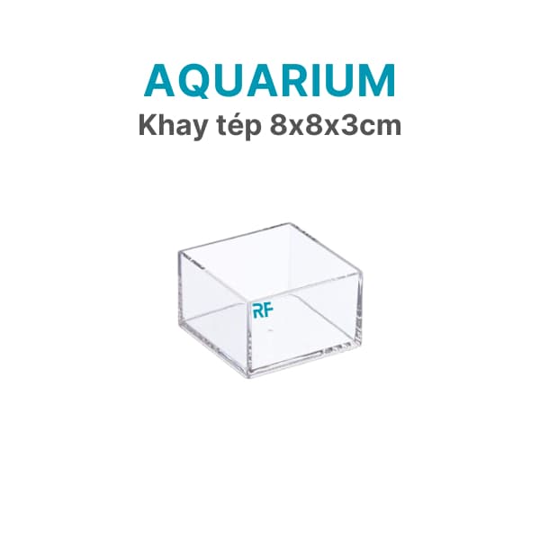 Khay nhỏ bằng kính dùng trồng cây thuỷ sinh, để thức ăn cho tép kích thước 8x8x3cm