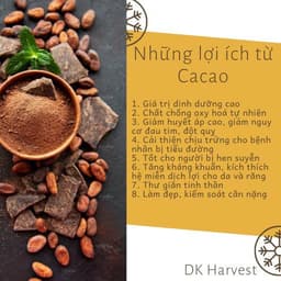 Bột Cacao Nguyên Chất DK Harvest - 11-13% Bơ Cacao | Đậm Vị, Giàu Chất Chống Oxy Hóa, Cải Thiện Tâm Trạng 4