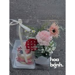 Combo 5 Túi mica in lịch, Túi lịch đựng quà Valentine, Túi lịch đựng hoa và bánh 4