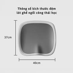 Đệm Ngồi Cao Su Non Êm Ái Chống Ê Mỏi Mông JYoohome Nệm Lót Ghế Dùng Trong Văn Phòng Học Tập 6