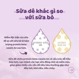 [Date 2027] Sữa Dê Kendamil UK Đạm A2 Dễ Tiêu Hoá 800g - Sữa Bột Công Thức 3