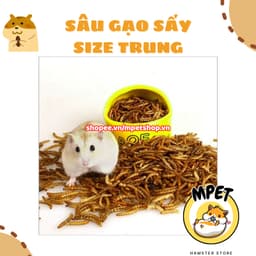 [50GR] Sâu Gạo Sấy Size Trung – Giàu Đạm Tự Nhiên & Hỗ Trợ Vỗ Béo, Mượt Lông 3
