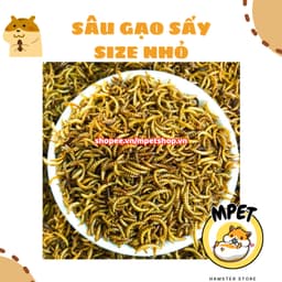 [50GR] Sâu Gạo Sấy Size Nhỏ – Giàu Đạm Tự Nhiên & Hỗ Trợ Vỗ Béo, Mượt Lông 1