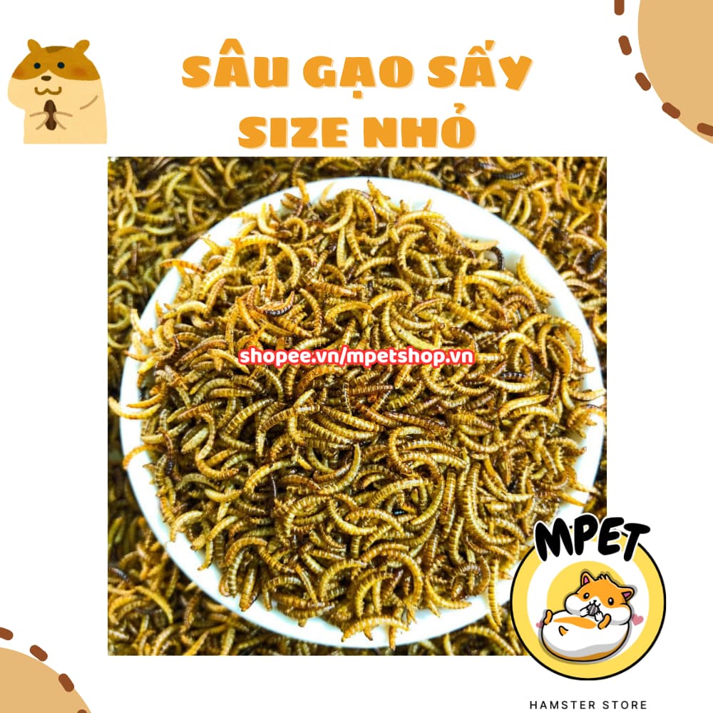 [50GR] Sâu Gạo Sấy Size Nhỏ – Giàu Đạm Tự Nhiên & Hỗ Trợ Vỗ Béo, Mượt Lông