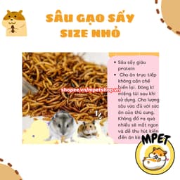 [50GR] Sâu Gạo Sấy Size Nhỏ – Giàu Đạm Tự Nhiên & Hỗ Trợ Vỗ Béo, Mượt Lông 3