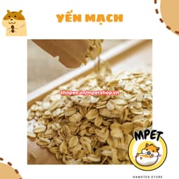[50GR] Yến Mạch – Hỗ Trợ Tiêu Hóa & Vỗ Béo, Mượt Lông 1