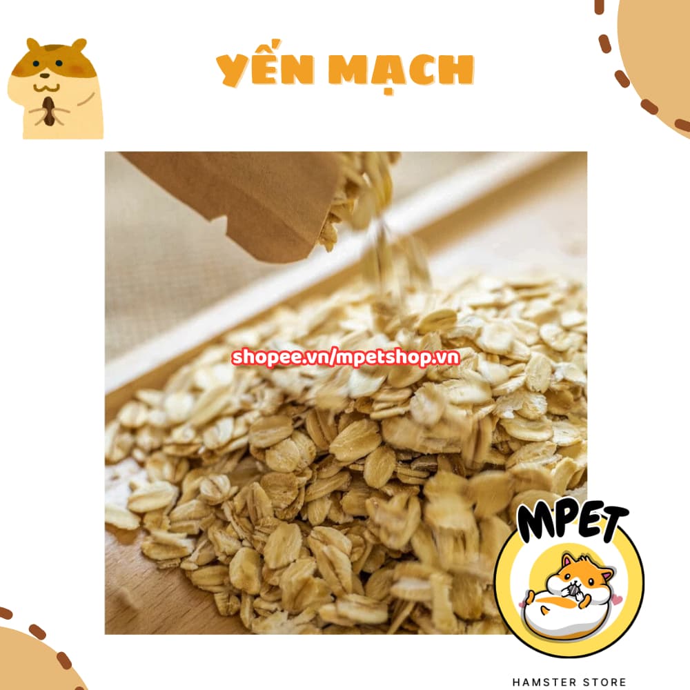 [50GR] Yến Mạch – Hỗ Trợ Tiêu Hóa & Vỗ Béo, Mượt Lông