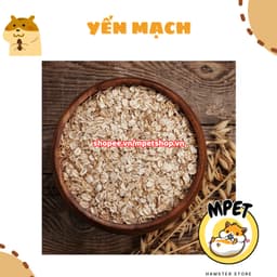 [50GR] Yến Mạch – Hỗ Trợ Tiêu Hóa & Vỗ Béo, Mượt Lông 3