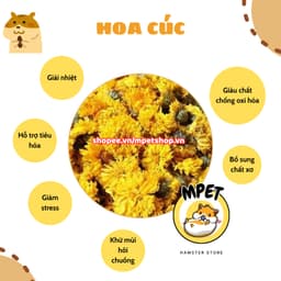 [50GR] Hoa cúc – Giải nhiệt, giảm stress, hỗ trợ tiêu hóa, khử mùi hôi chuồng 2
