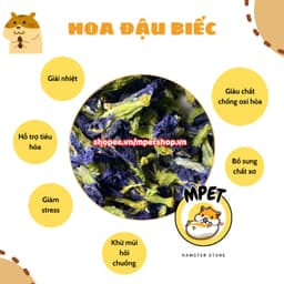 [50GR] Hoa đậu biếc – Giải nhiệt, giảm stress, hỗ trợ tiêu hóa, khử mùi hôi chuồng 3