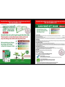 Gan Nhó Kỳ Nam Chính Hãng [LIỆU TRÌNH 2 THÁNG - 8 HỘP] 10