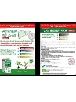 Gan Nhó Kỳ Nam Chính Hãng - Dành cho người Viêm gan B, Xơ gan, Men gan cao, Gan nhiễm mỡ 9