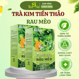 [COMBO 3 HỘP] Trà Kim Tiền Thảo Râu Mèo Túi Lọc Bổ Thận, Lợi Tiểu, Mát Gan, Giảm Sỏi Thận 1