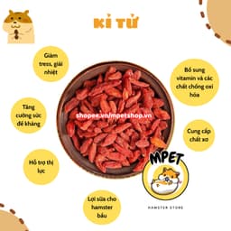 [50g] Kỷ tử khô – Bổ mắt, tăng đề kháng, giảm stress cho hamster và thú nhỏ 2